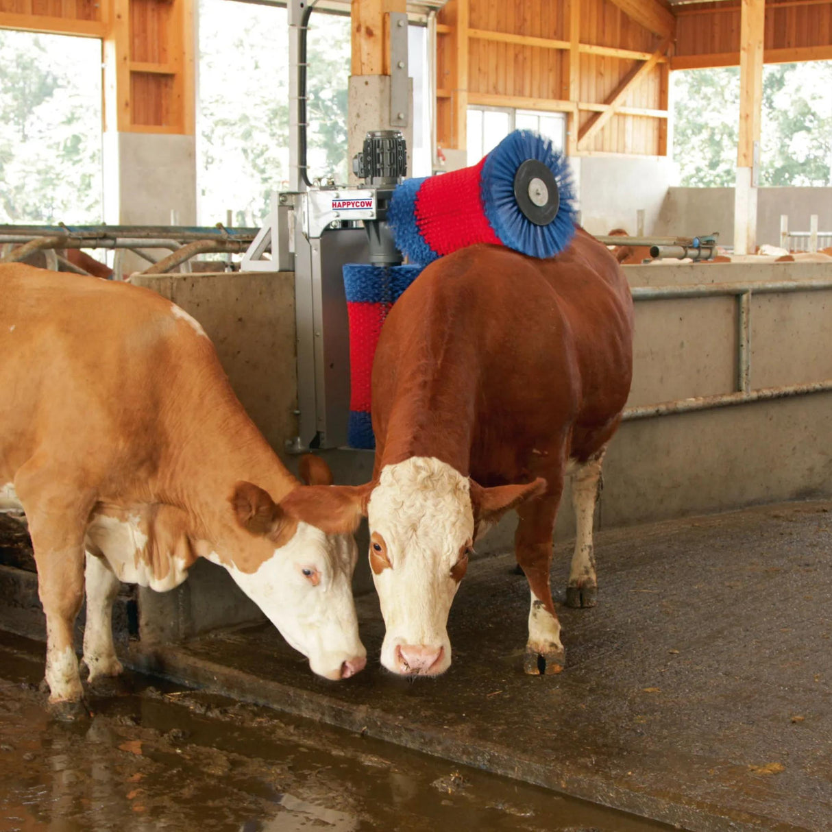Automaattinen Karjaharja HappyCow Duo