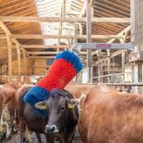 Karjaharja HappyCow Free Maxi