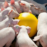 Stressipallo 30cm