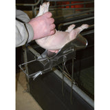 Kastraatioteline