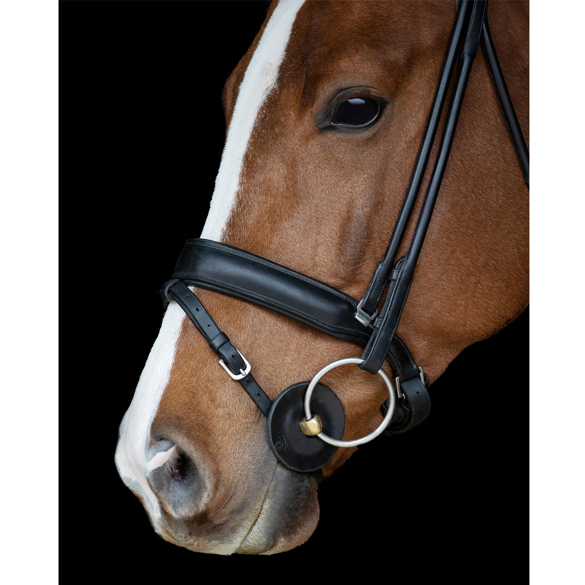 Kumitutit Bit Guard Contoured Gel