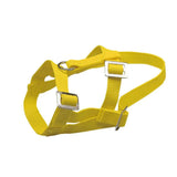 Riimu Lampaille ja Pässeille, Nylon