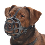 Dog Muzzle Koiran Kuonokoppa