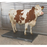 Eläinvaaka PS3000 max. 1500 kg