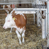 Karjaharja Texas