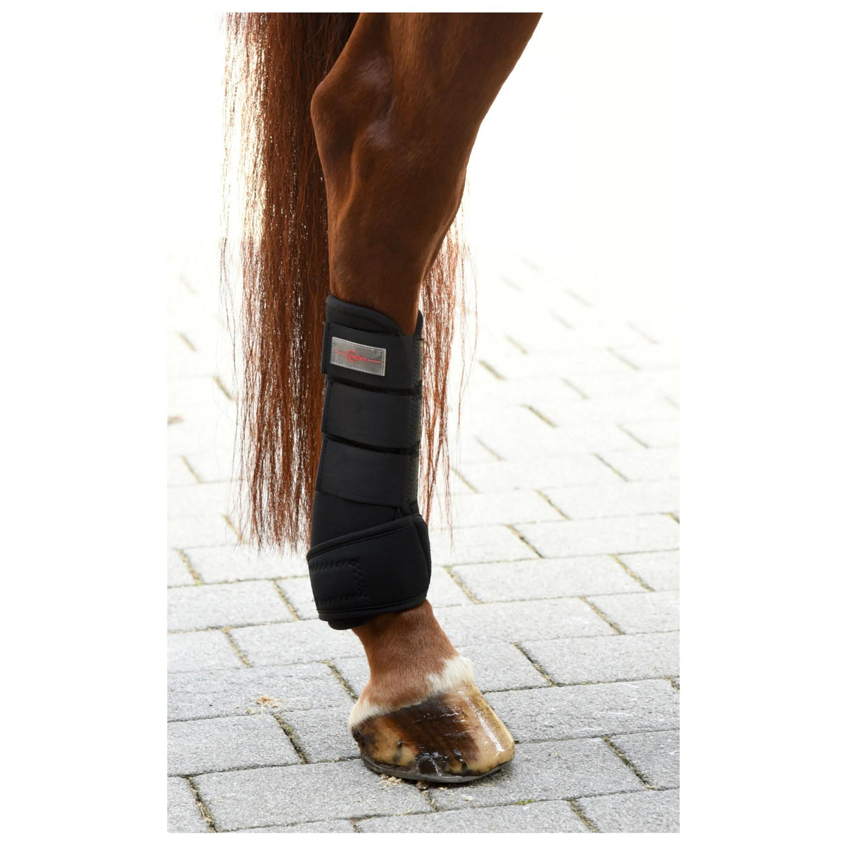 Koulusuojasetti Fetlock