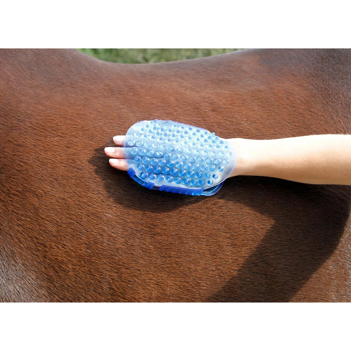 Magnetic Massage Curry Comb