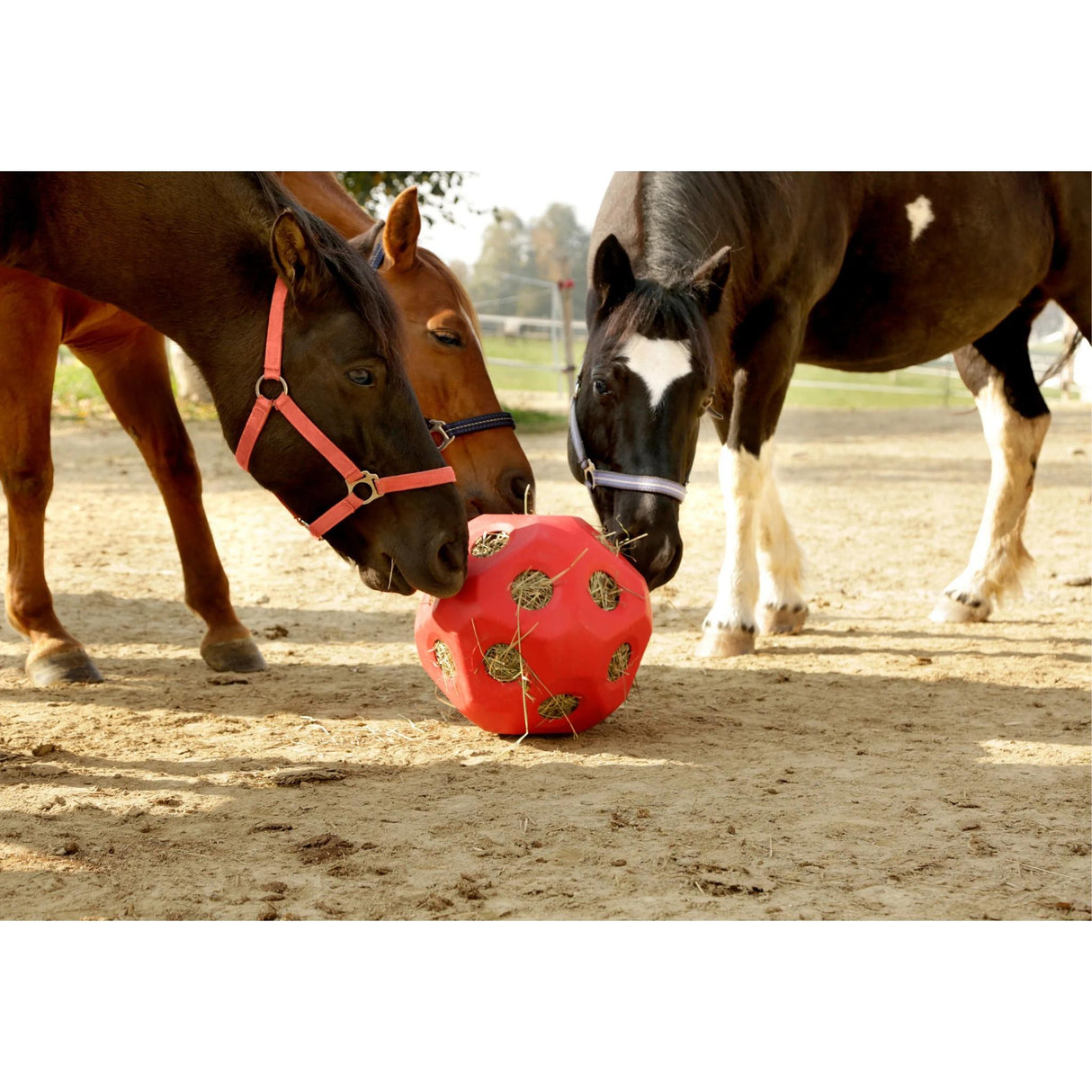 Heinäpallo Feed Ball