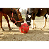 Heinäpallo Feed Ball