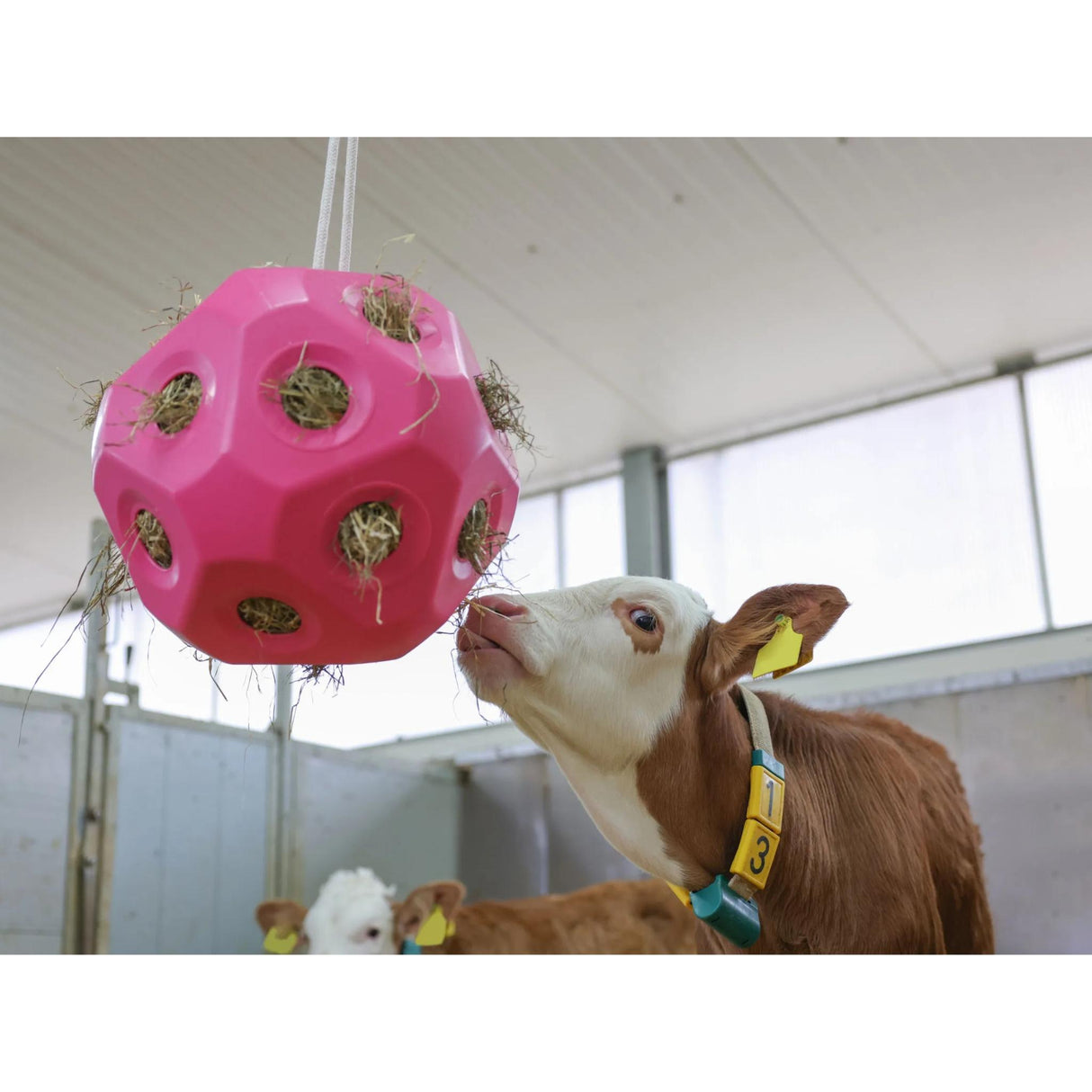 Heinäpallo Feed Ball