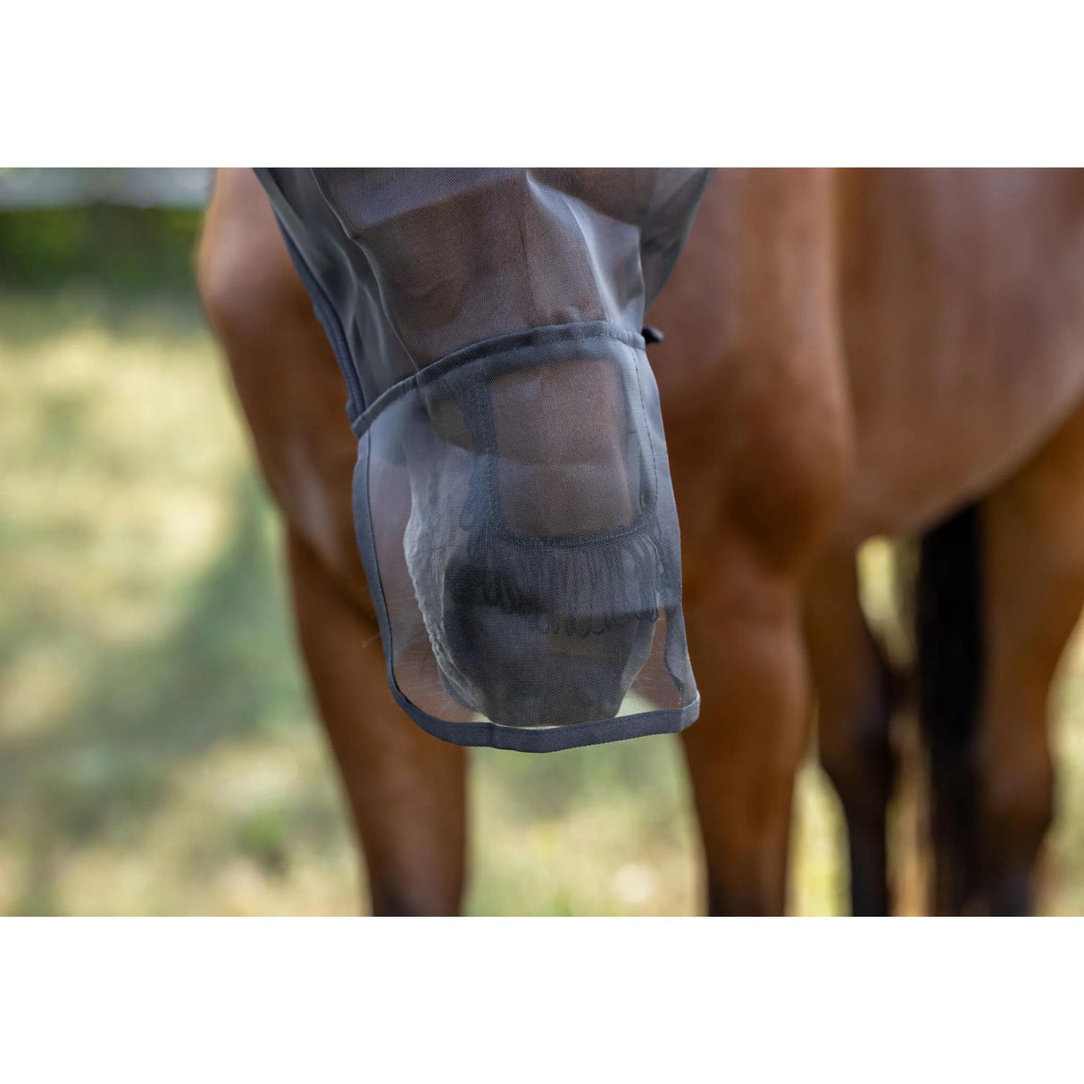 Kärpäshuppu Nose & Ear Protection