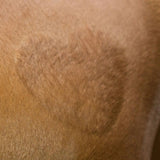 Sabluunasetti Shearing Template