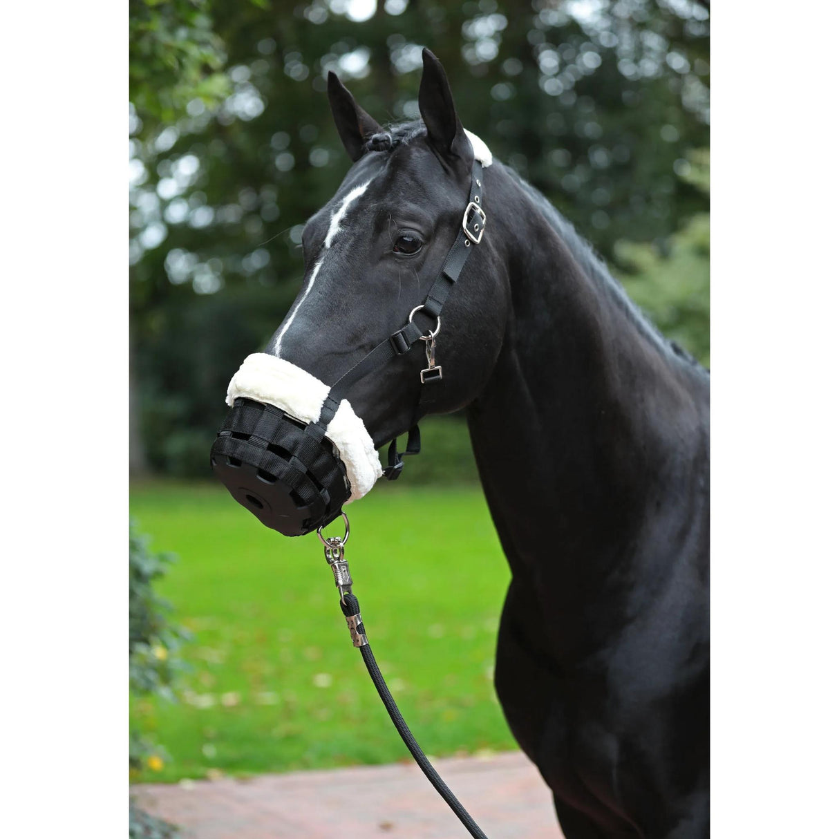 Muzzle Teddy Fleece