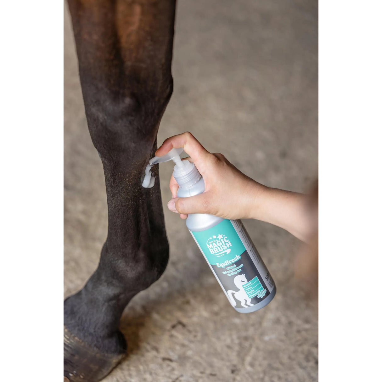 Linimentti Equifresh Gel