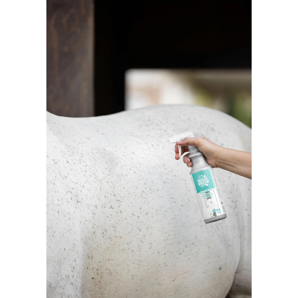 Kuivashampoo Cleaning Lotion EasyCare 500 ml