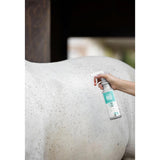 Kuivashampoo Cleaning Lotion EasyCare 500 ml