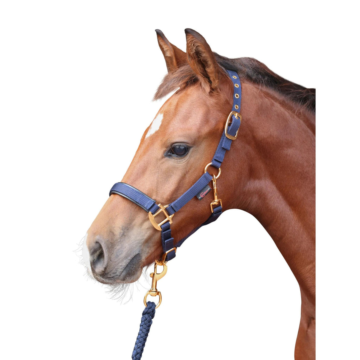 Varsariimu TopLine