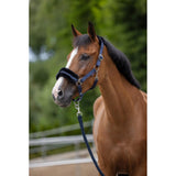 Halter ClassicSoft