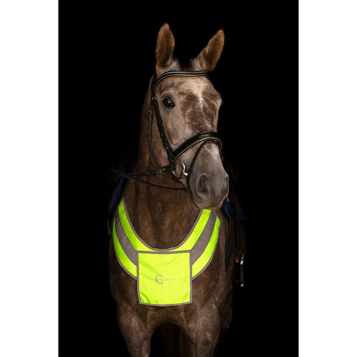 Rintaremmi Heijastin Reflective Breastplate