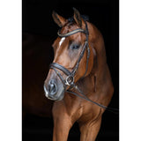 Bridle Clincher Black