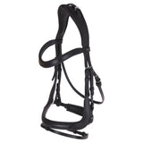 Suitset Anatomic