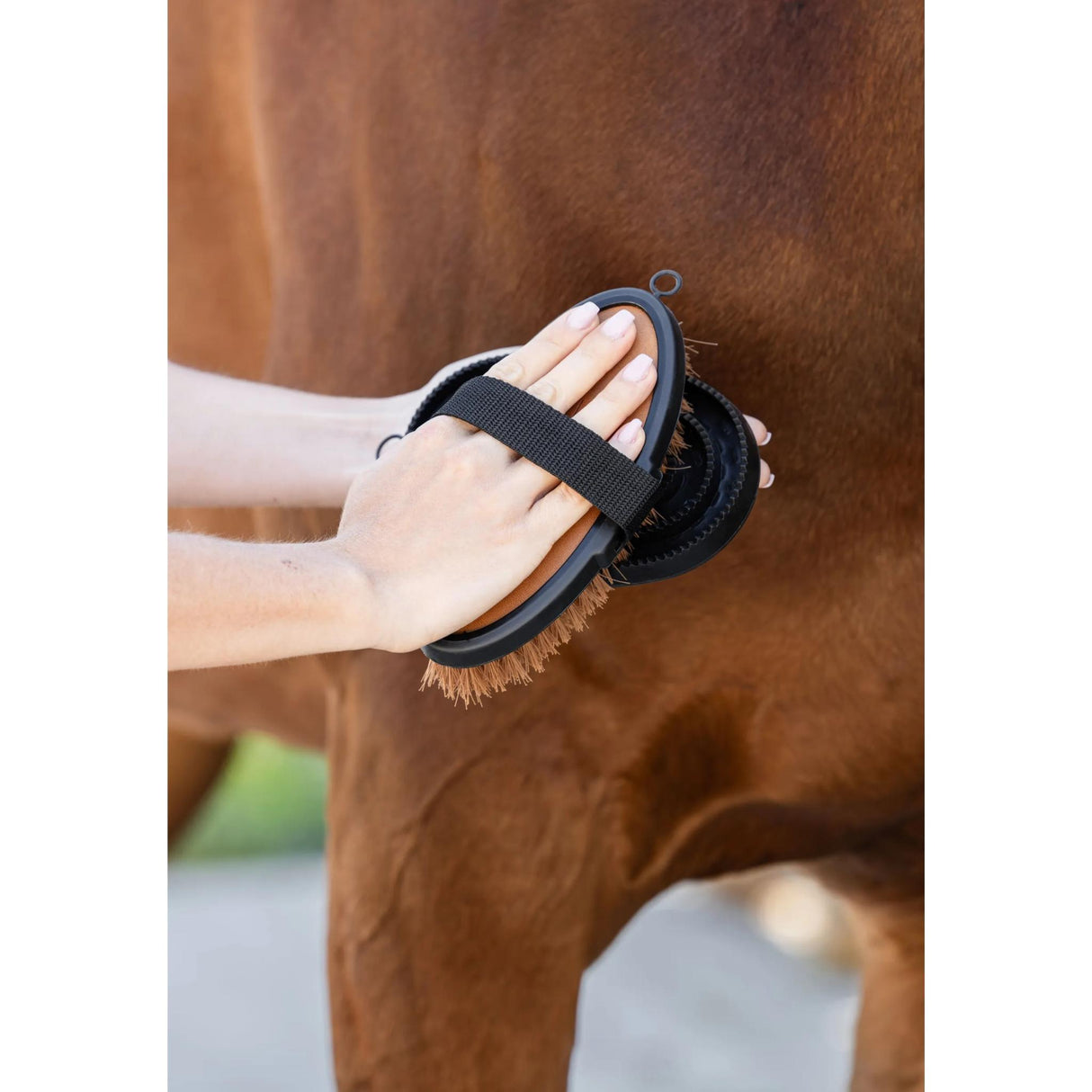 Muovisuka Curry Comb Deluxe