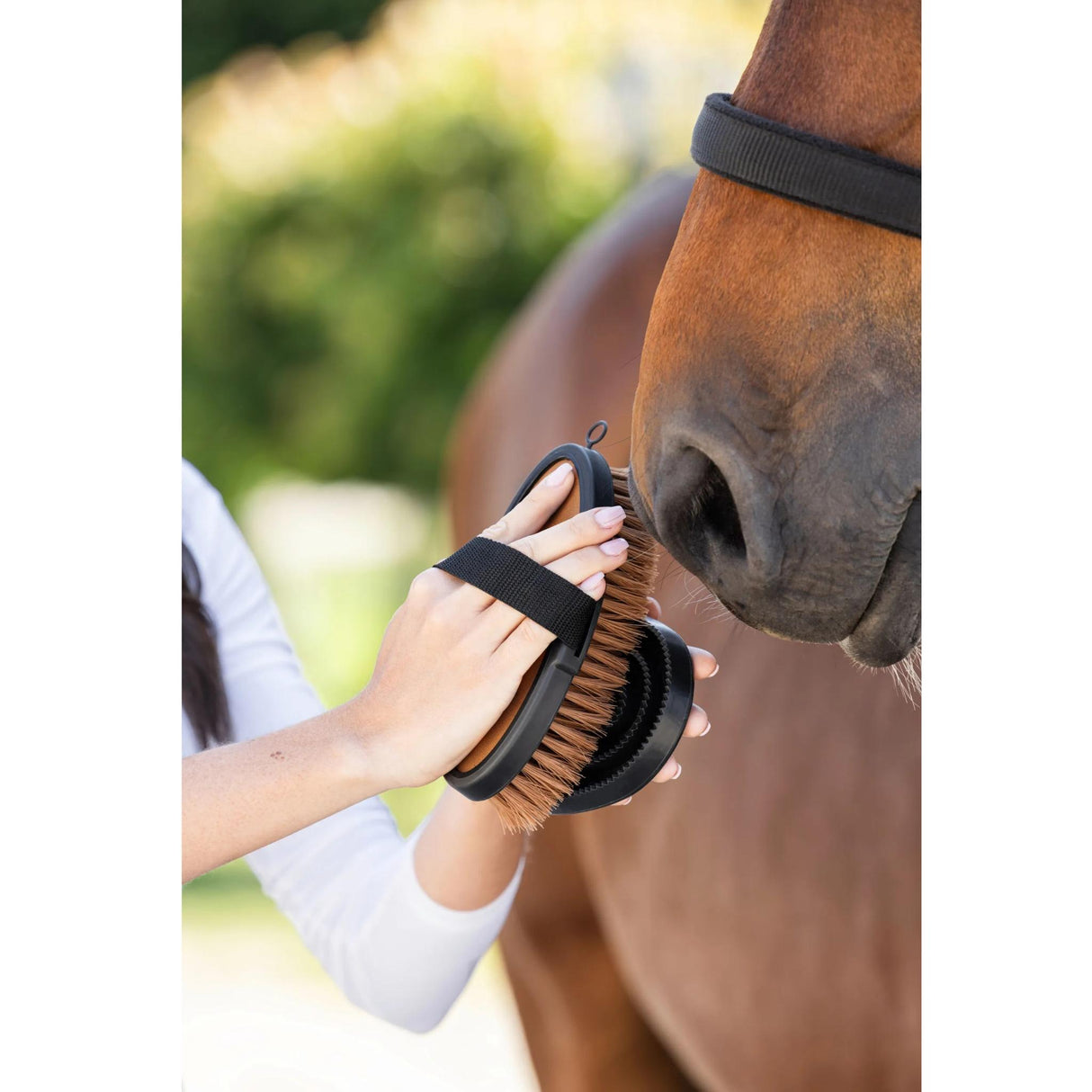 Muovisuka Curry Comb Deluxe