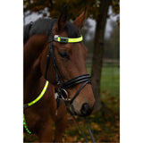 Heijastin Otsapanta Reflective LED Brow Strap