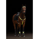 Heijastin Otsapanta Reflective LED Brow Strap