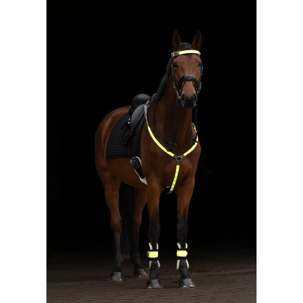 Rintaremmi Heijastin Reflective LED Breastplate