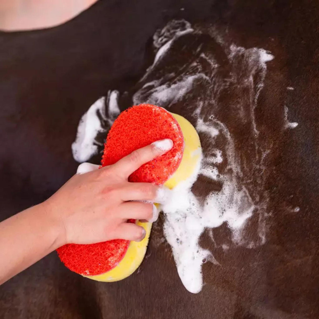 Pesusieni Sponge Set 3kpl
