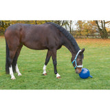 Lelupallo HorseBall
