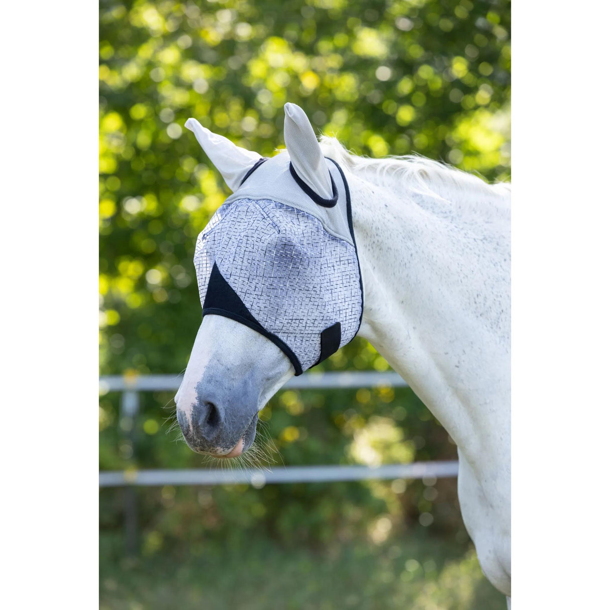 Kärpäshuppu UV-Protection