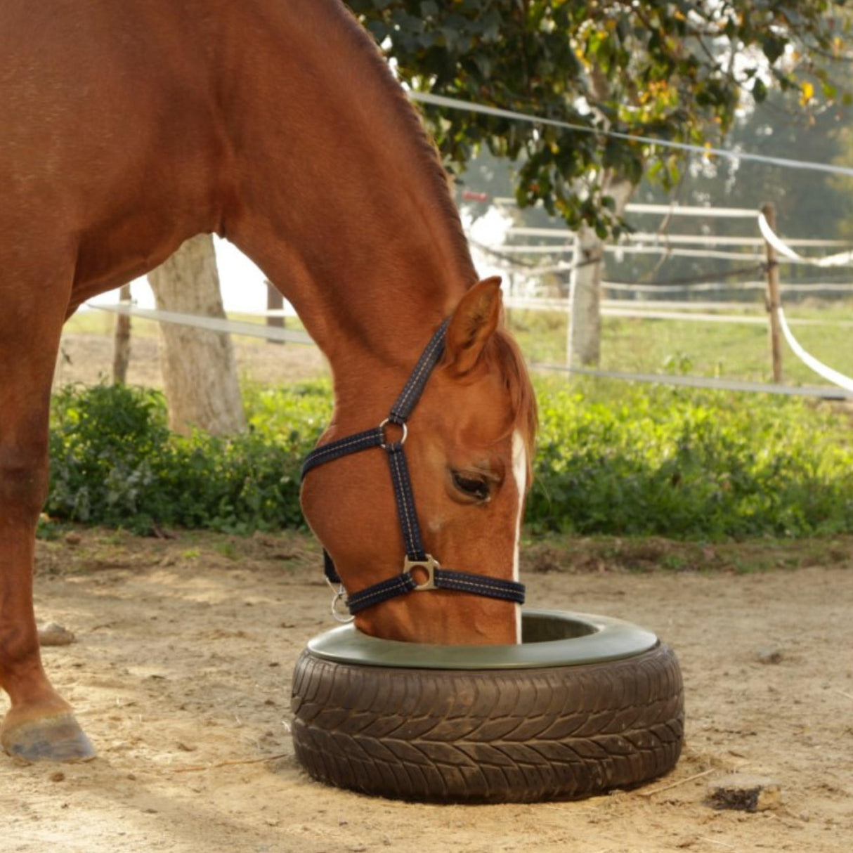 Ruokinta-astia Tyre 15 L