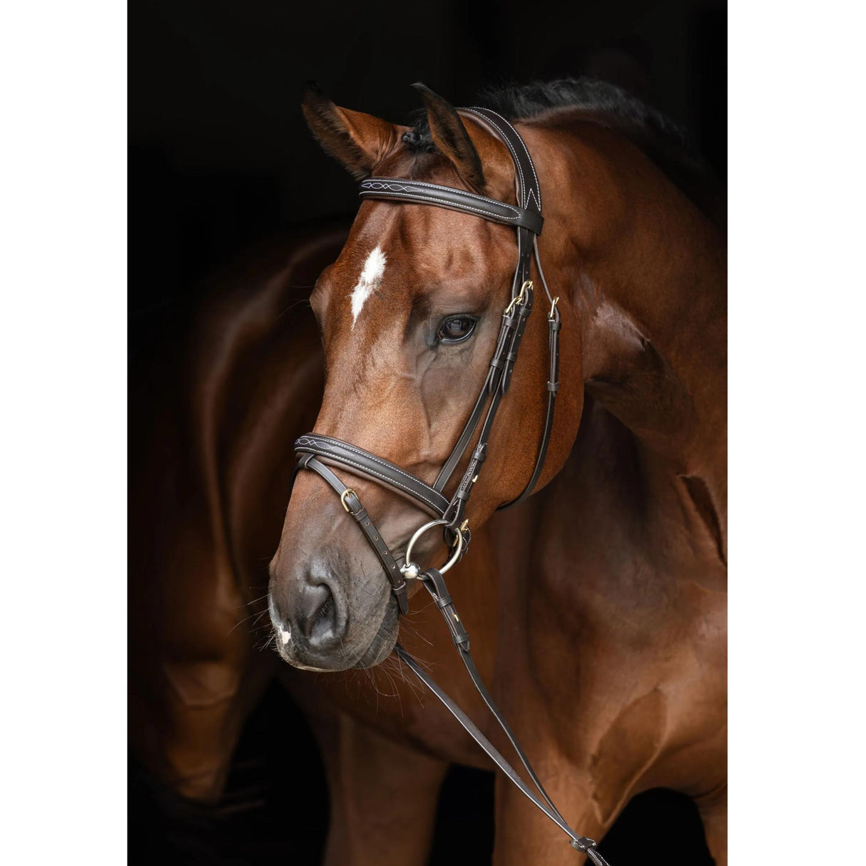 Suitset ja Ohjat Classic