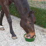 Delizia Nuolukivi Horse Lick Bronchial