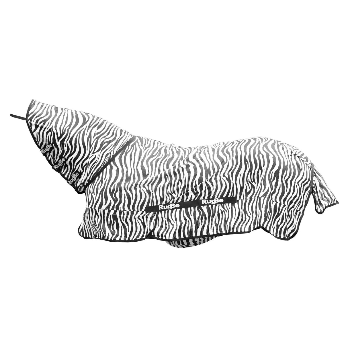 Hyönteisloimi Zebra