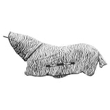 Hyönteisloimi Zebra