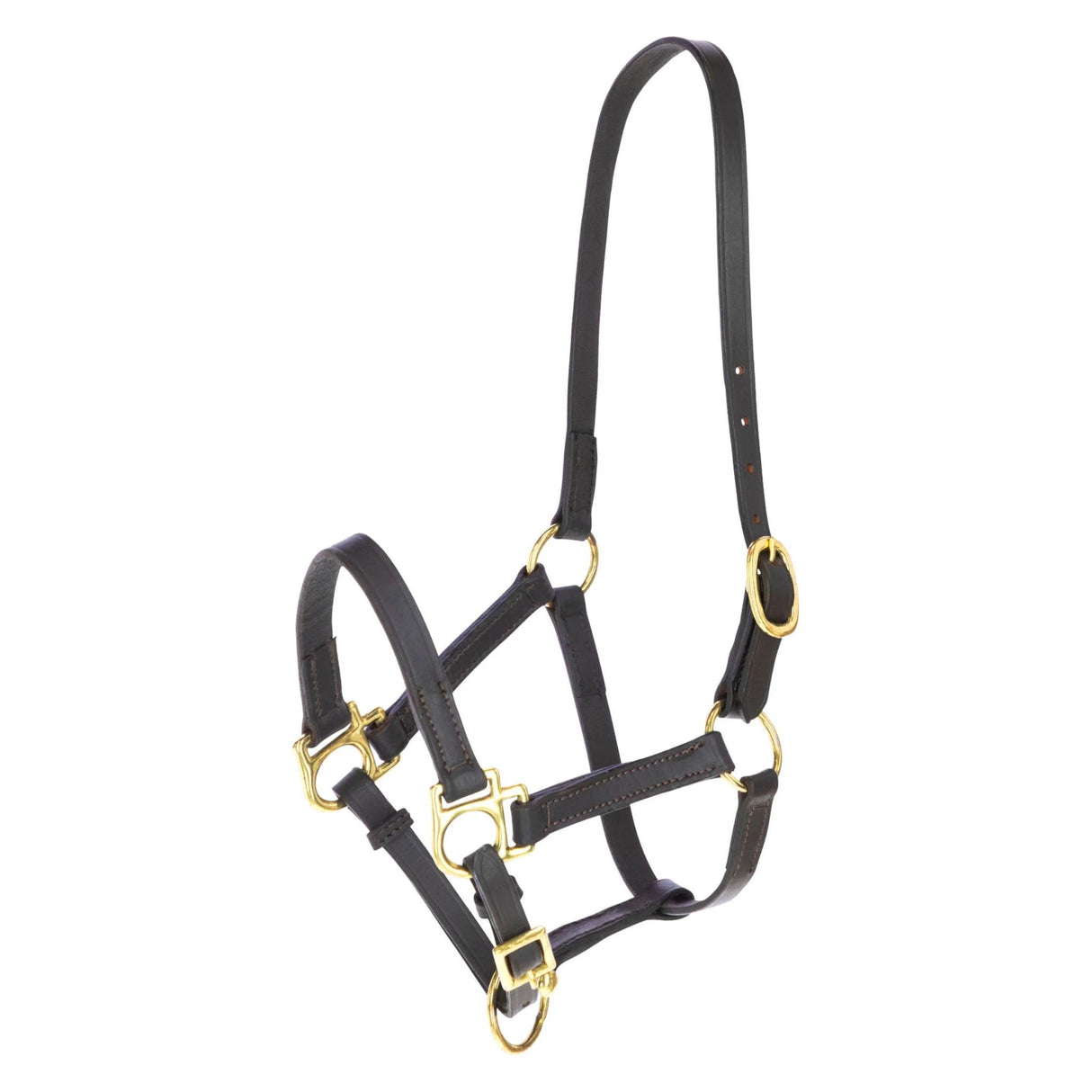 Foal Halter Leather Eco