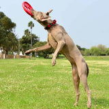 Kelluva Frisbee RFO