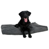 Peti Memory Foam