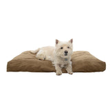 Peti Memory Foam