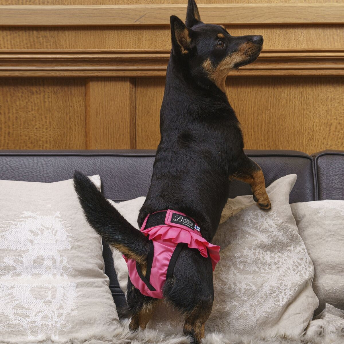 Juoksuhousut Ballerina Pink