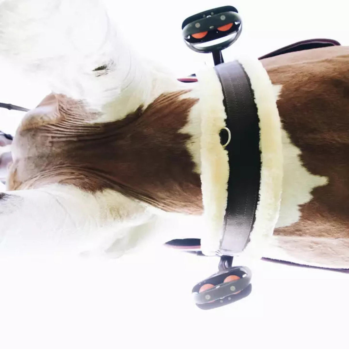 Satulavyö Sheepskin Girth