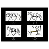 Lunging Aid Side Rope