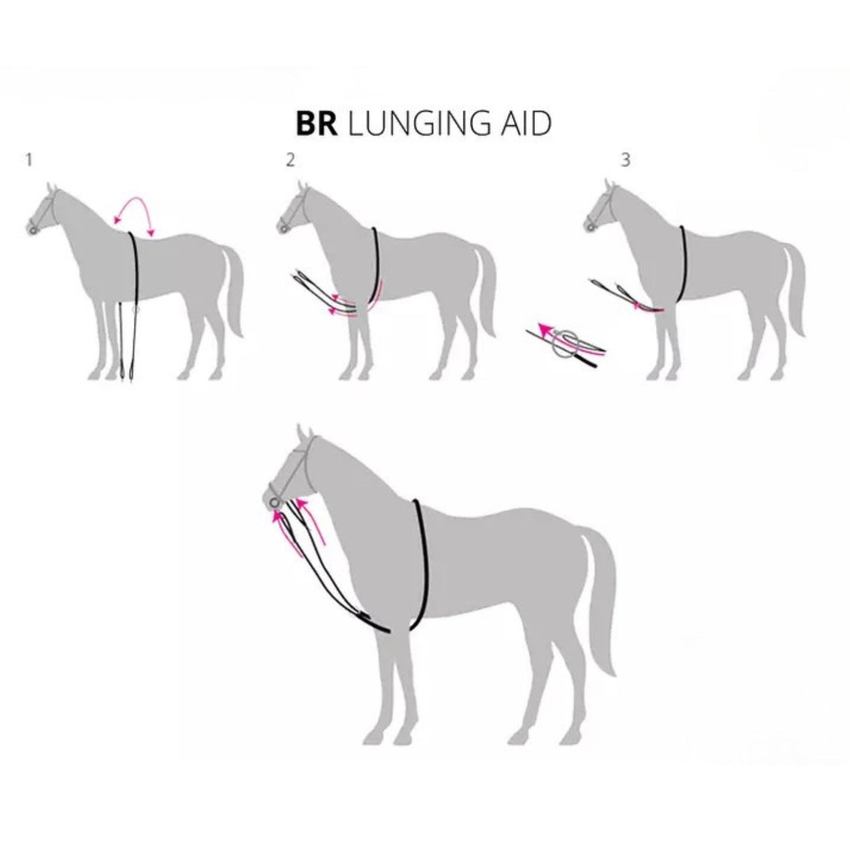 Juoksutusapu Lunging Aid