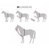 Juoksutusapu Lunging Aid
