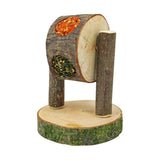 Feeding Play Wheel 200g