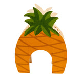 Pesämökki Ananas