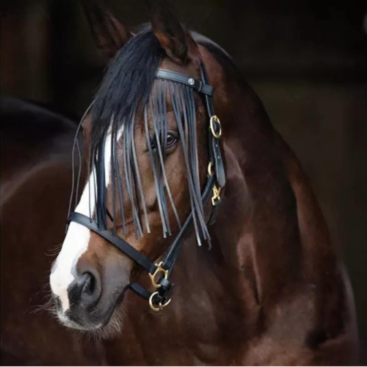 Kärpäshapsut Leather